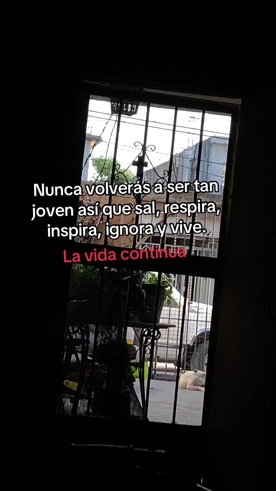 @ALVARO Y ISEL