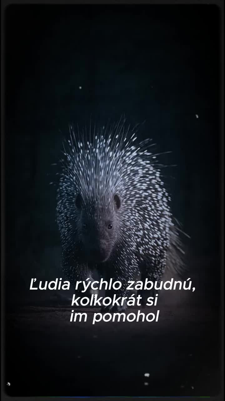 @šimon