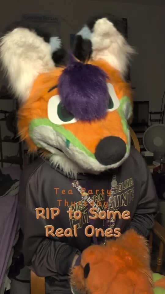 @Marsh The Fox