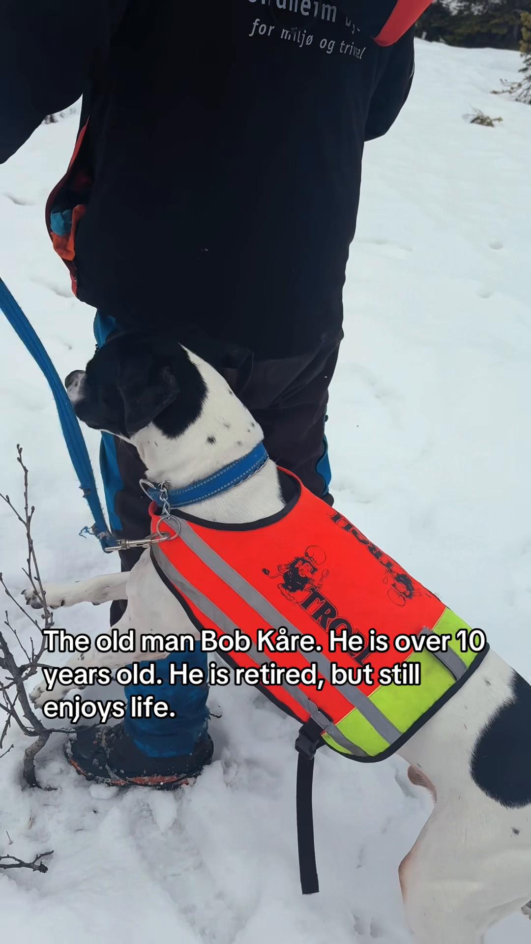@Don the dog 🇳🇴