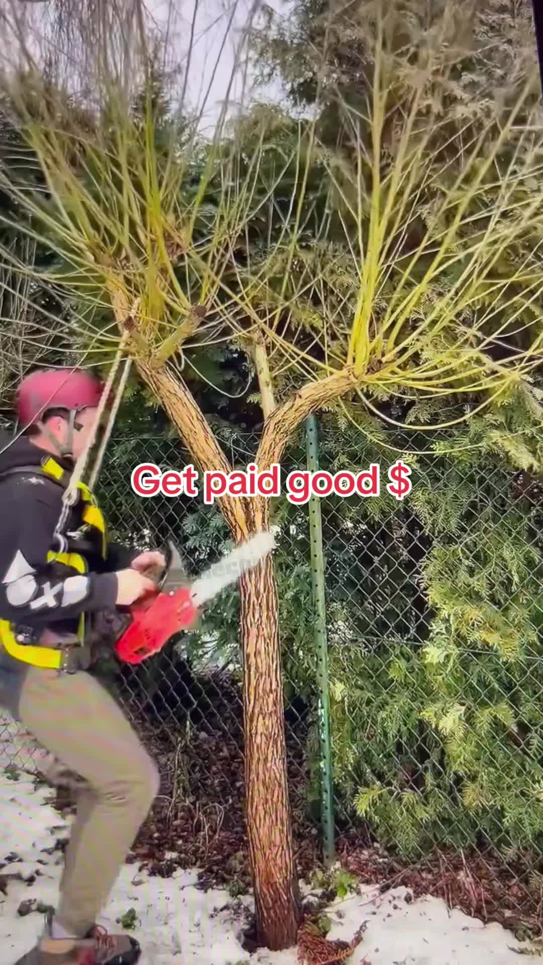 @WiseGize