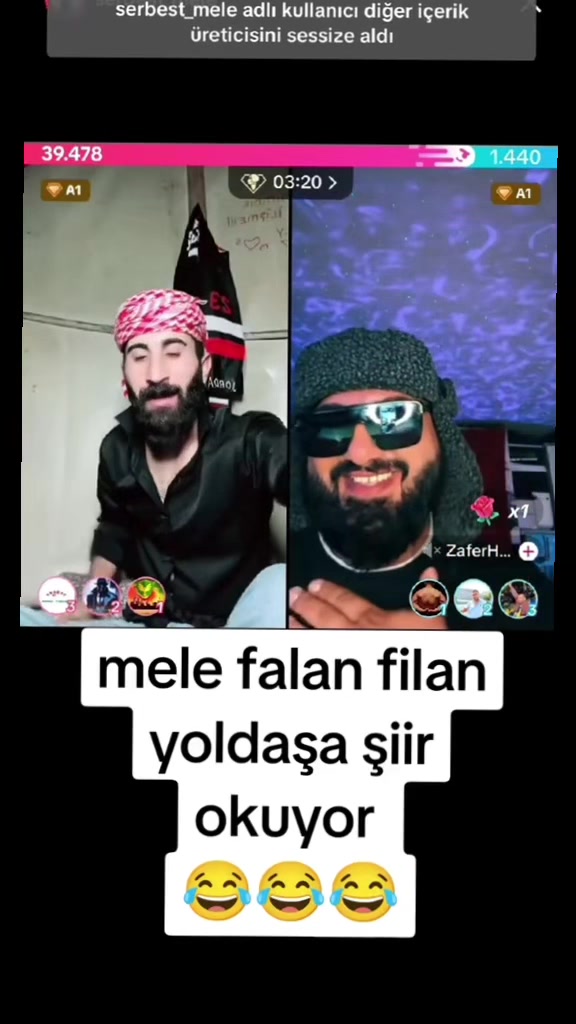 @Cilginlar