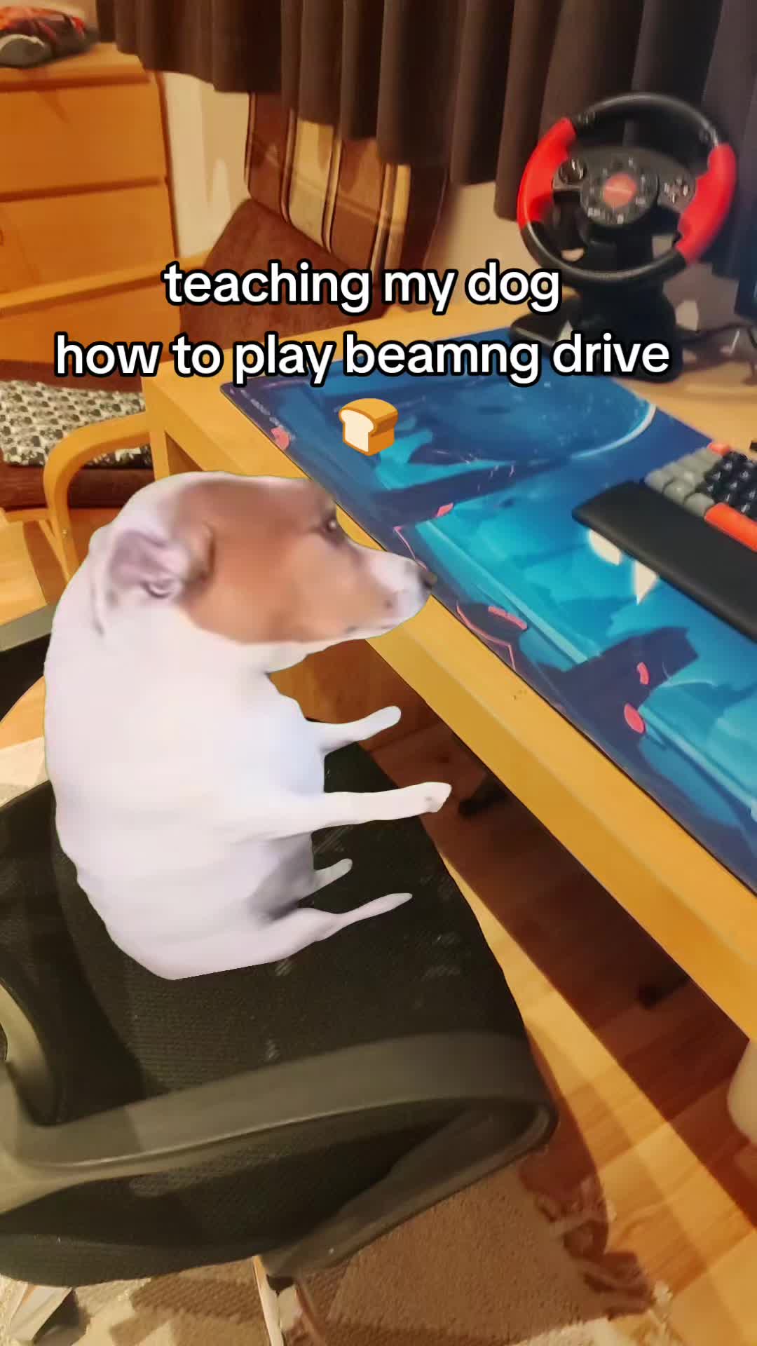 @bladeGX