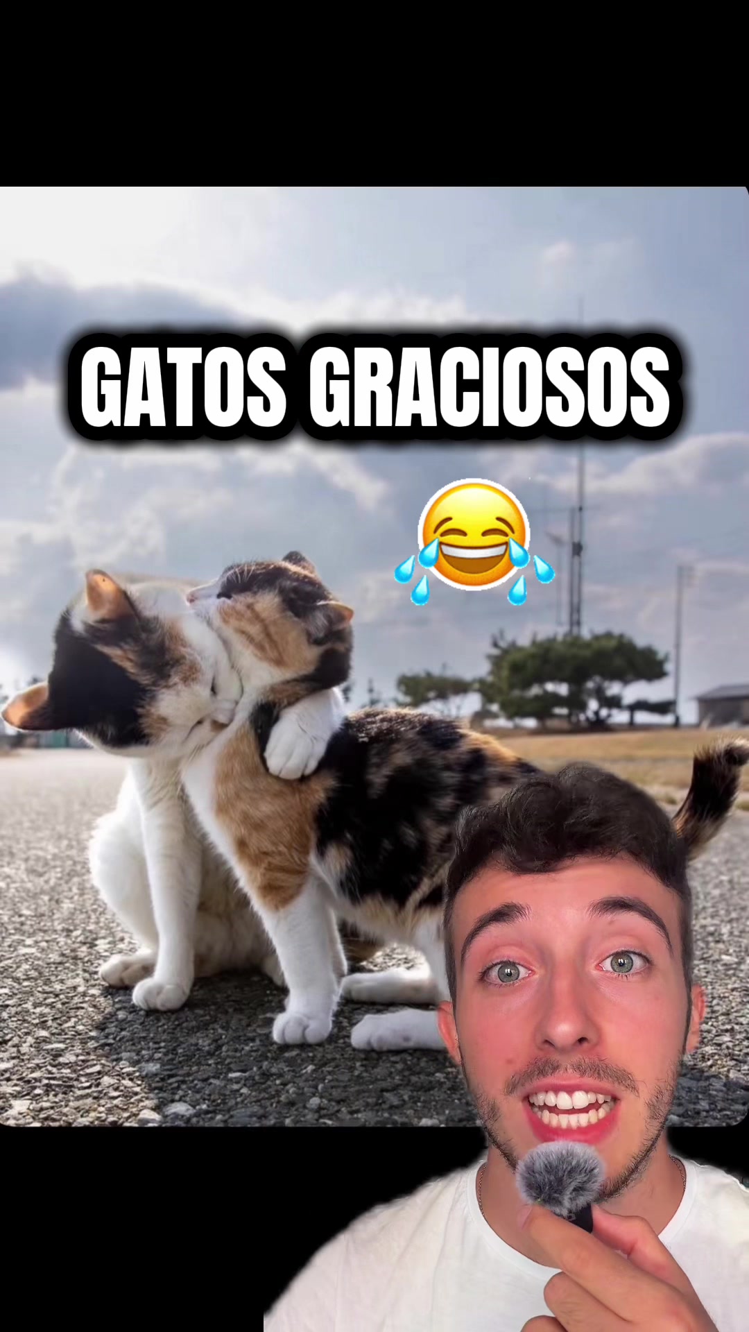 @ivanttops