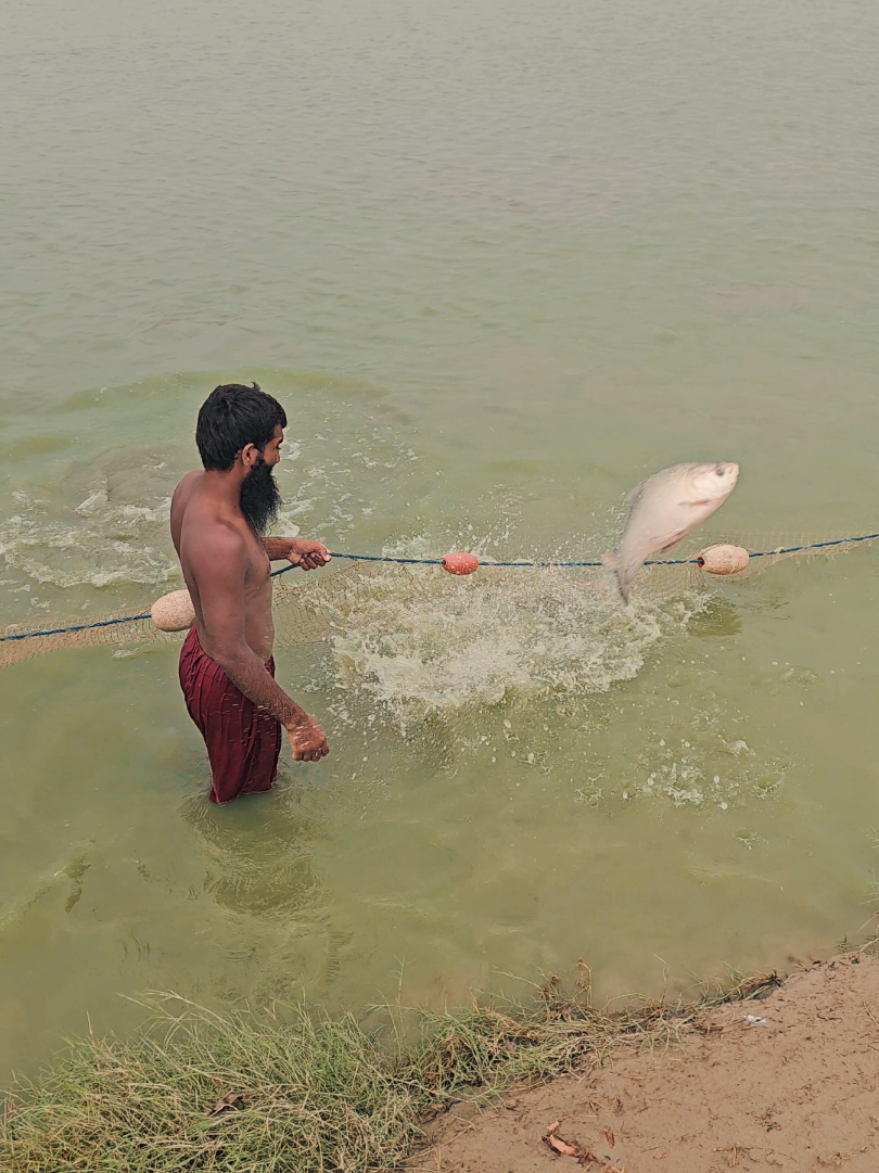 @fish catching video