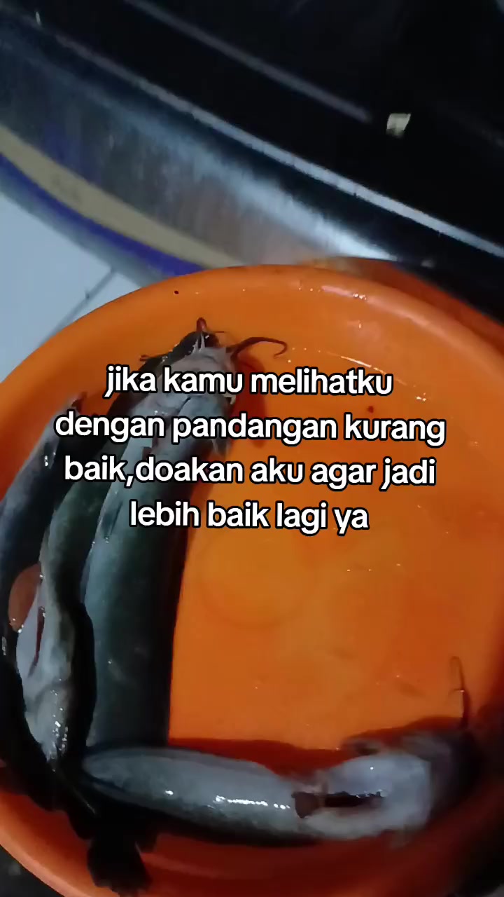 @"๐๐๐๐๐ ๐๐_๐๐๐๐