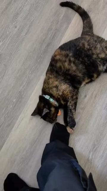 @Lolita .๐ค.๐ฆ.โฐ๏ธ.๐ฅ.