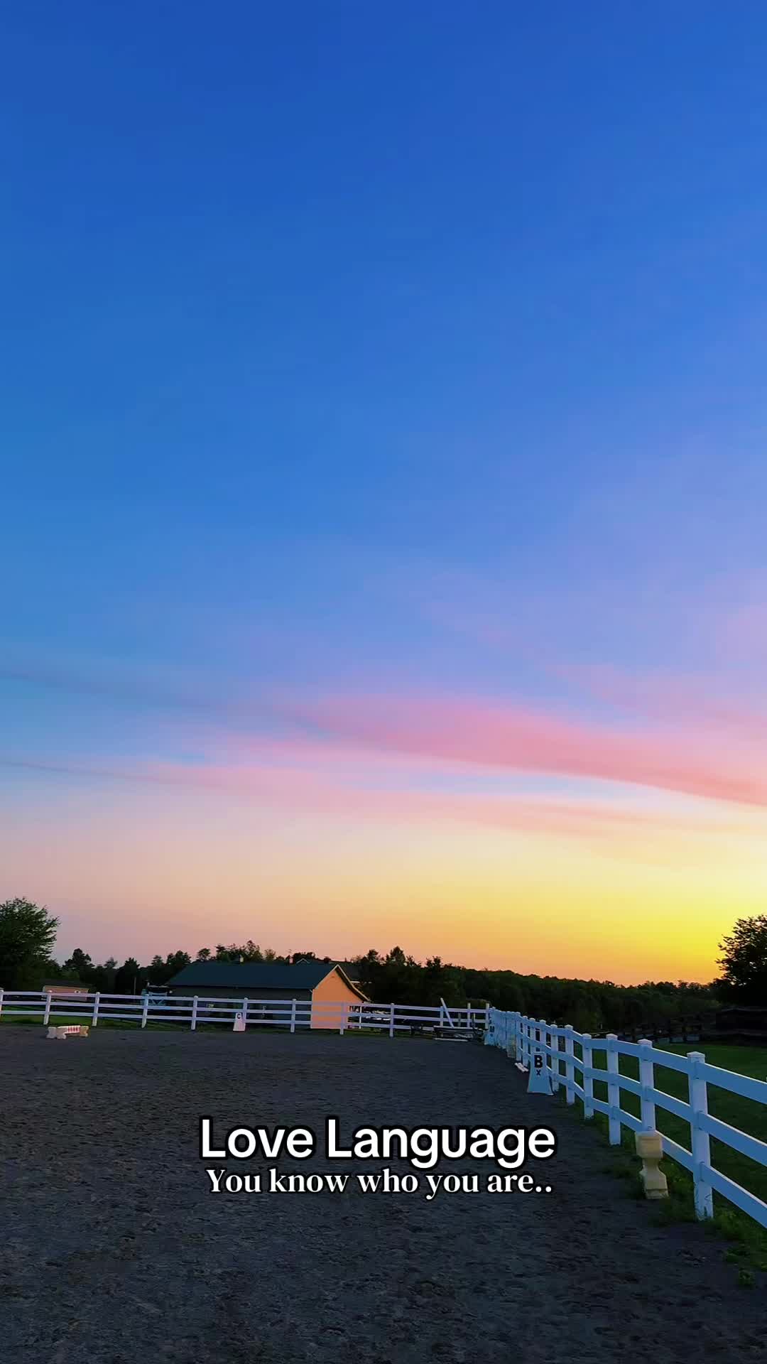 @Danigurl🦮🏇🌅