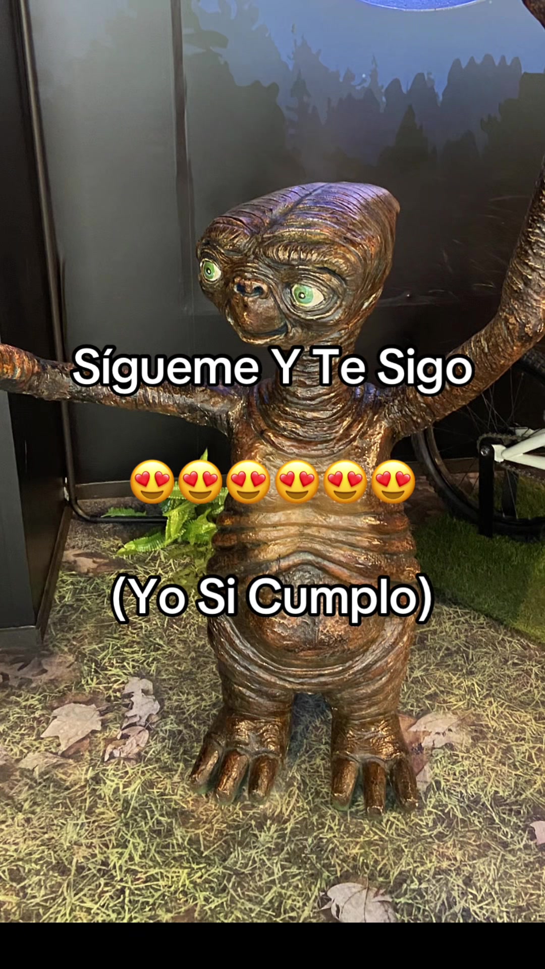 @xzarelaa