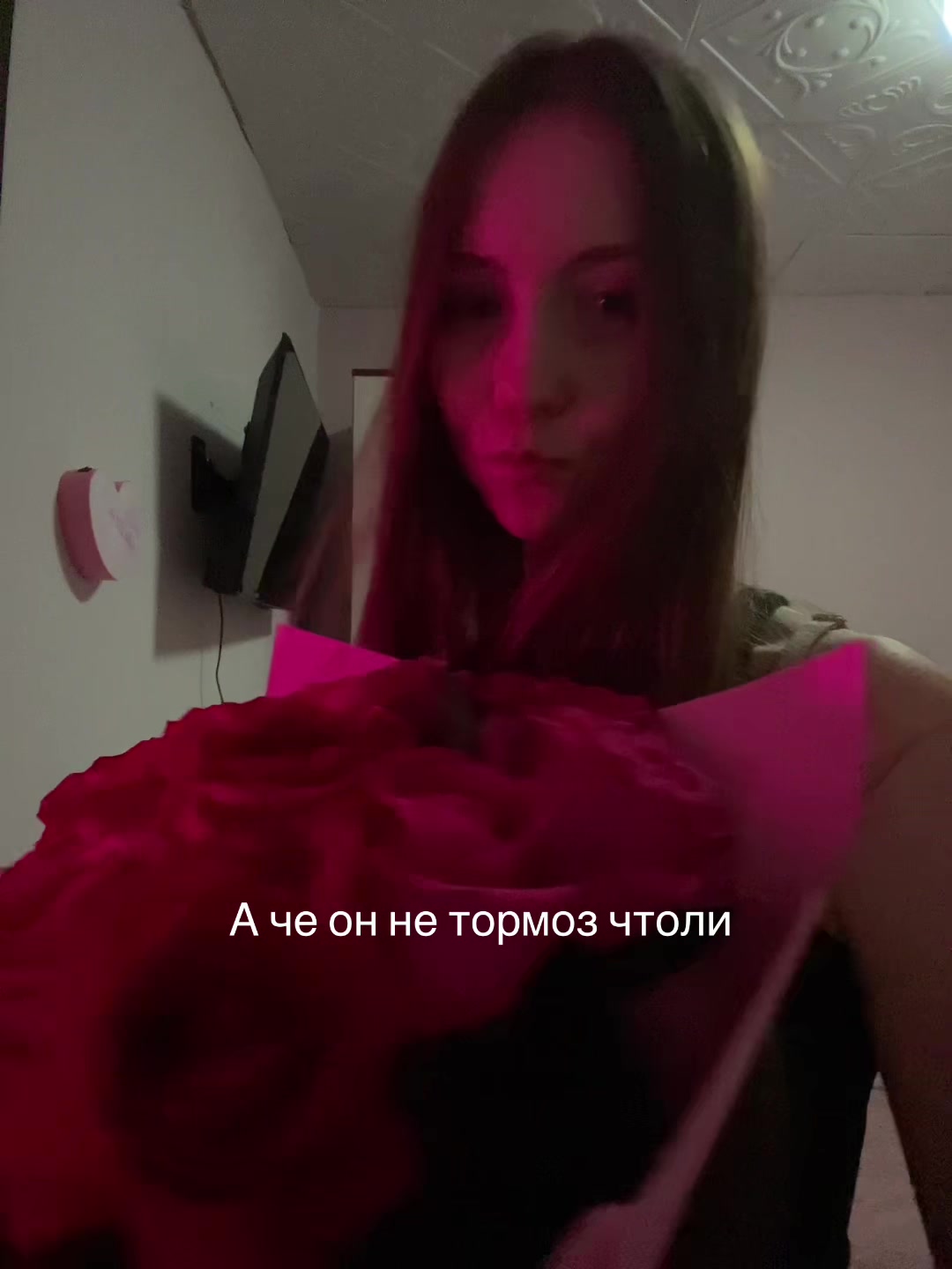 @анастасия алексеевна