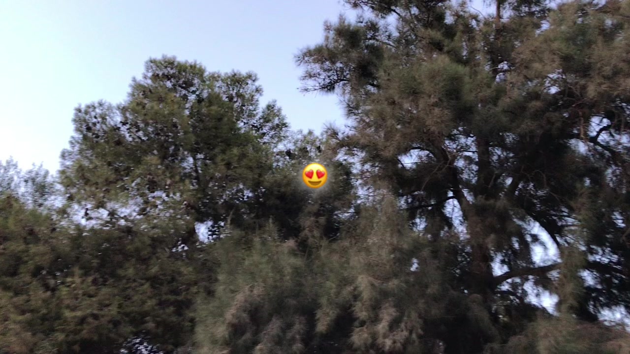 @𝑻𝑾𝑬𝑬𝑻𝑺.____𝑰𝒀𝑨𝑫