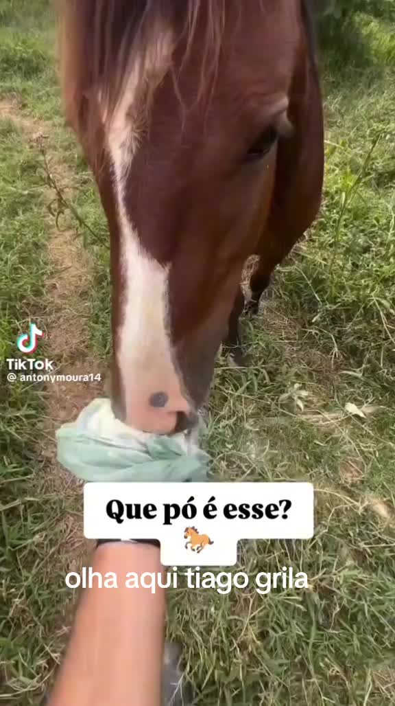 @sergio oliveira🇵🇹🇩🇪