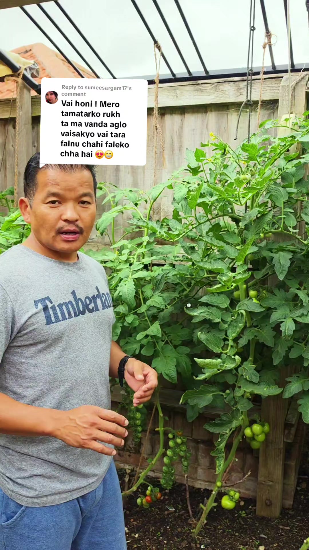 @NG Dai