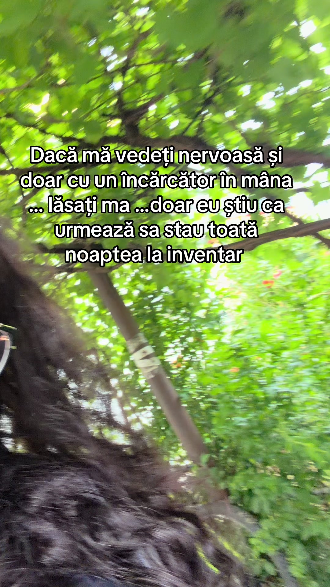 @Andreea