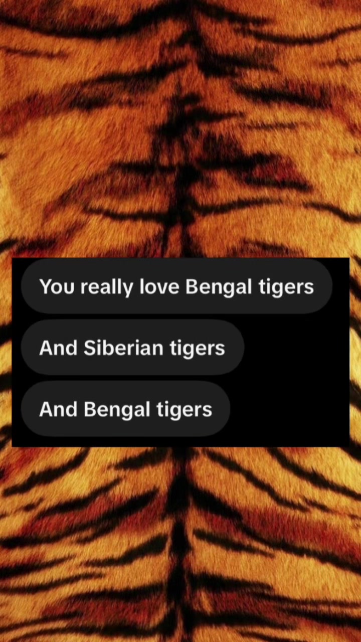 @ღ ⚔️ 𝑻𝑰𝑮𝑹𝑬𝑺𝑺. 🐅 ༆