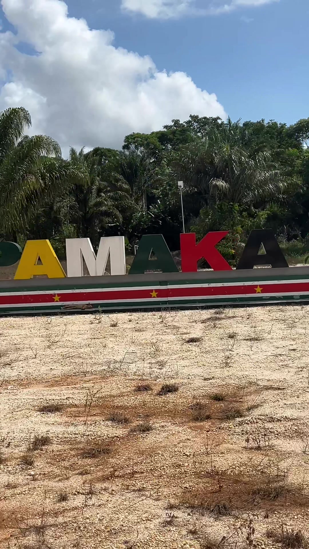 @Mercedes In The Jungle