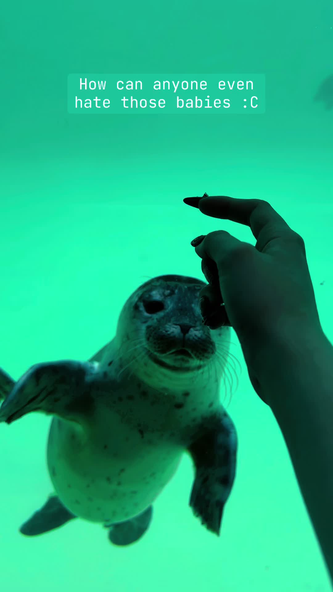 @xen🦭🌀