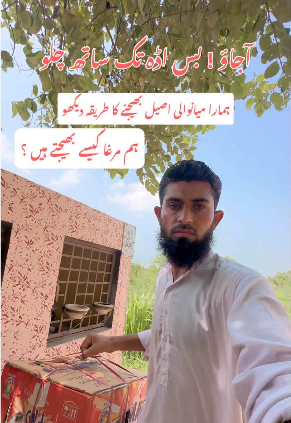 @Poultry Markaz