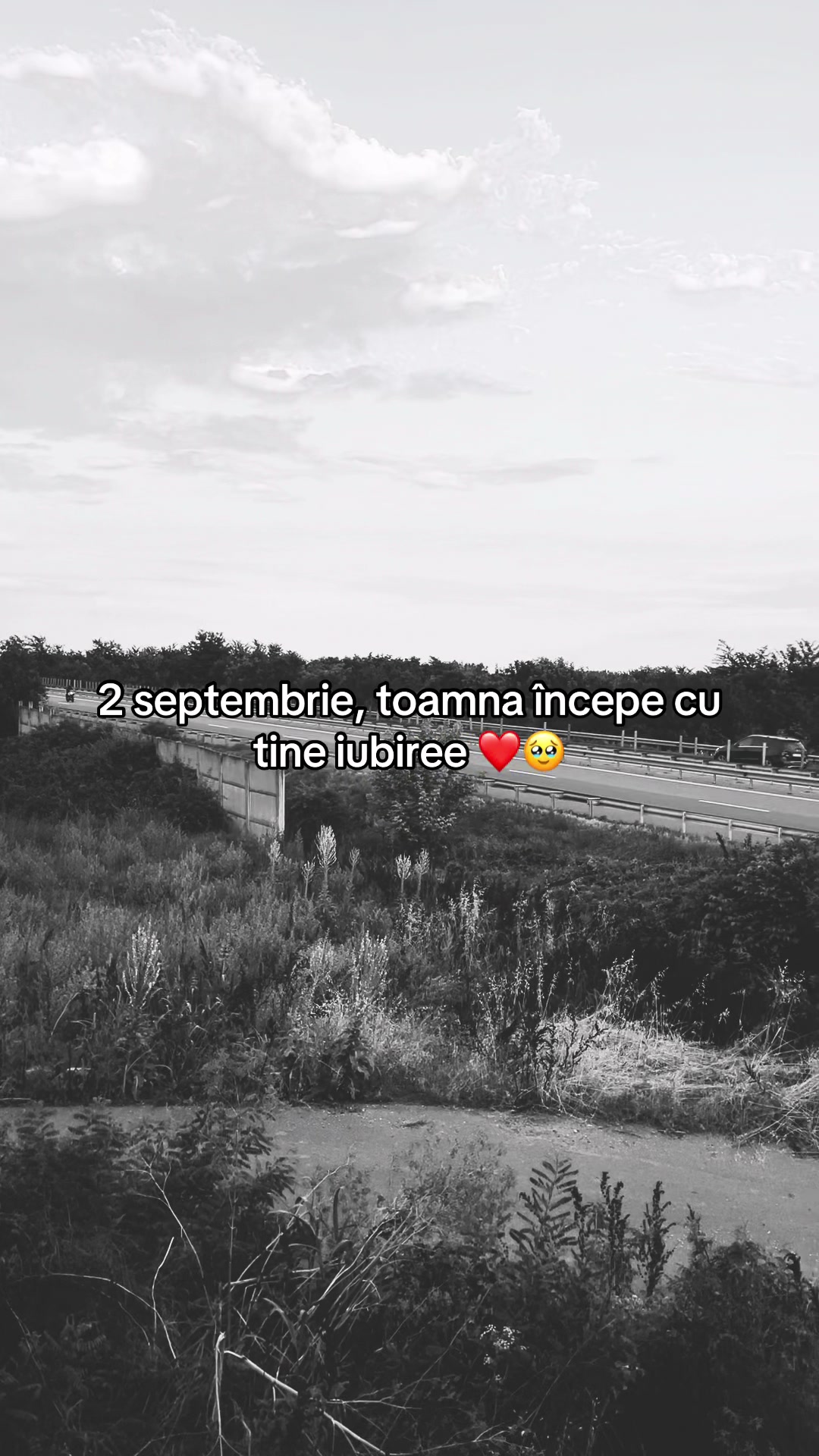 @Citate…❤️🫀