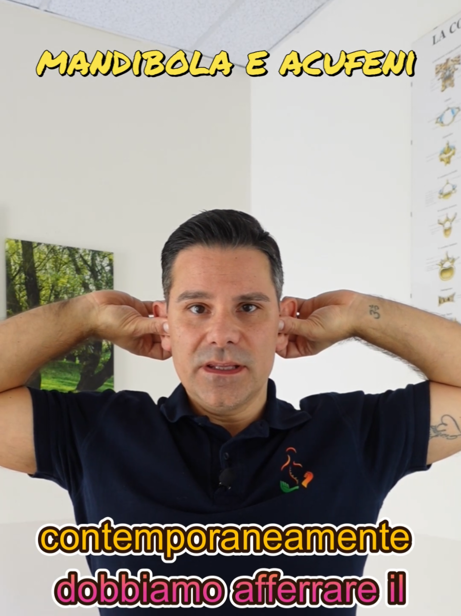 @Dr. Bruno Maria Camerani