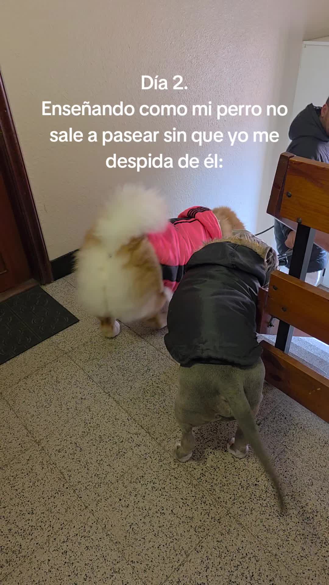 @Kenya y Daddy🐶
