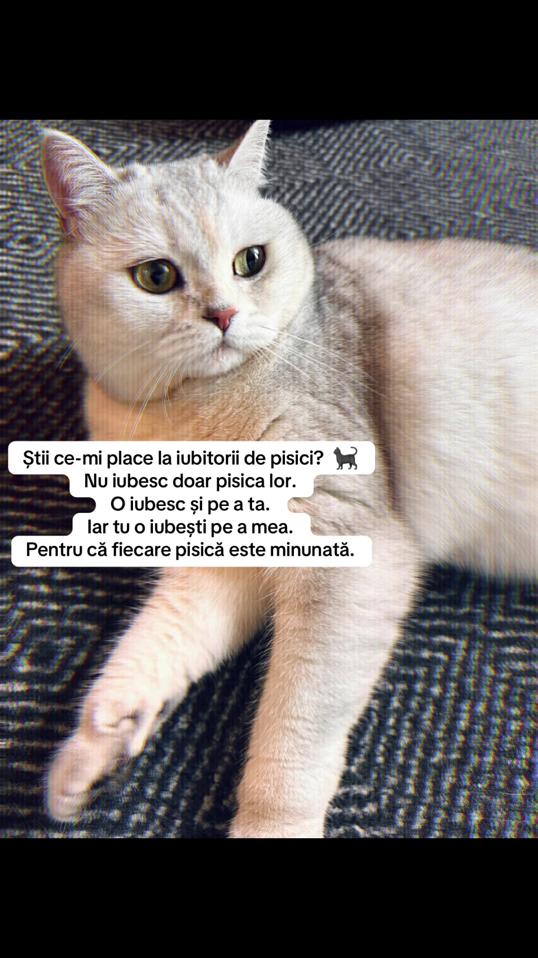 @Diana Georgiana