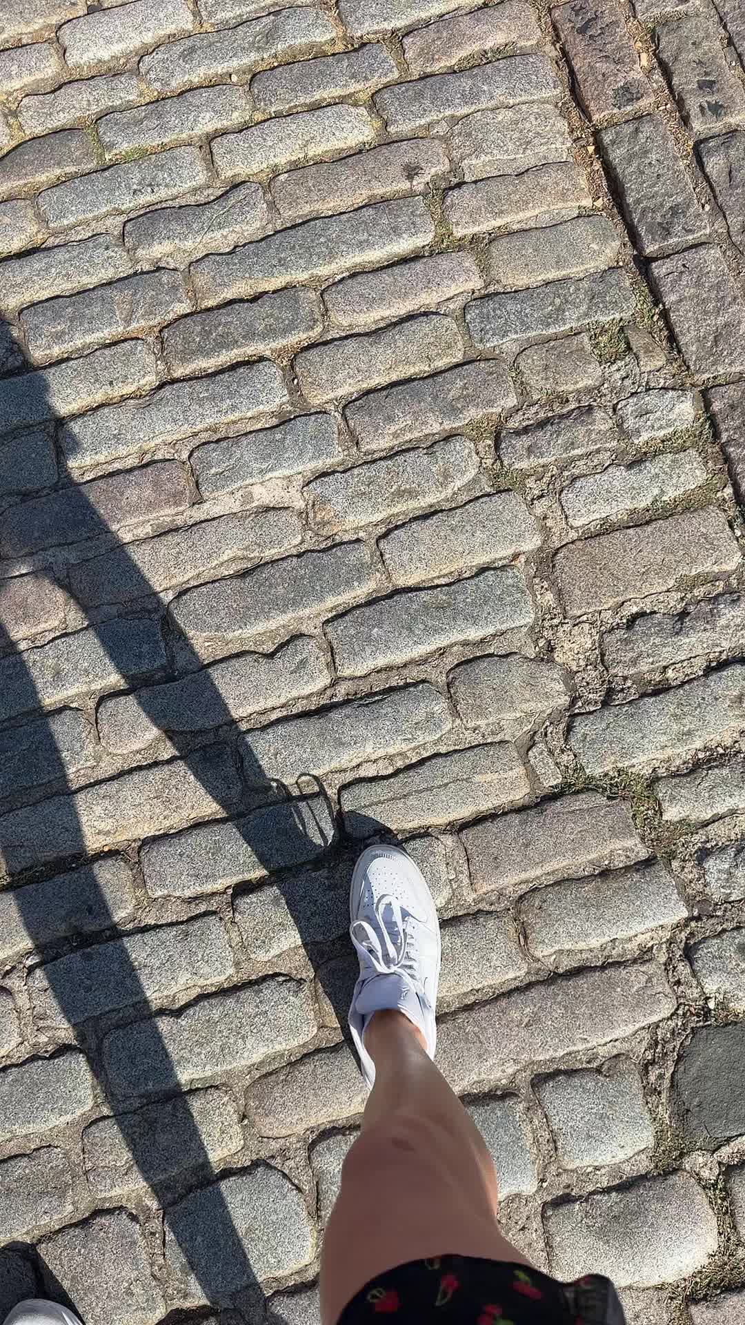@L I N N E A