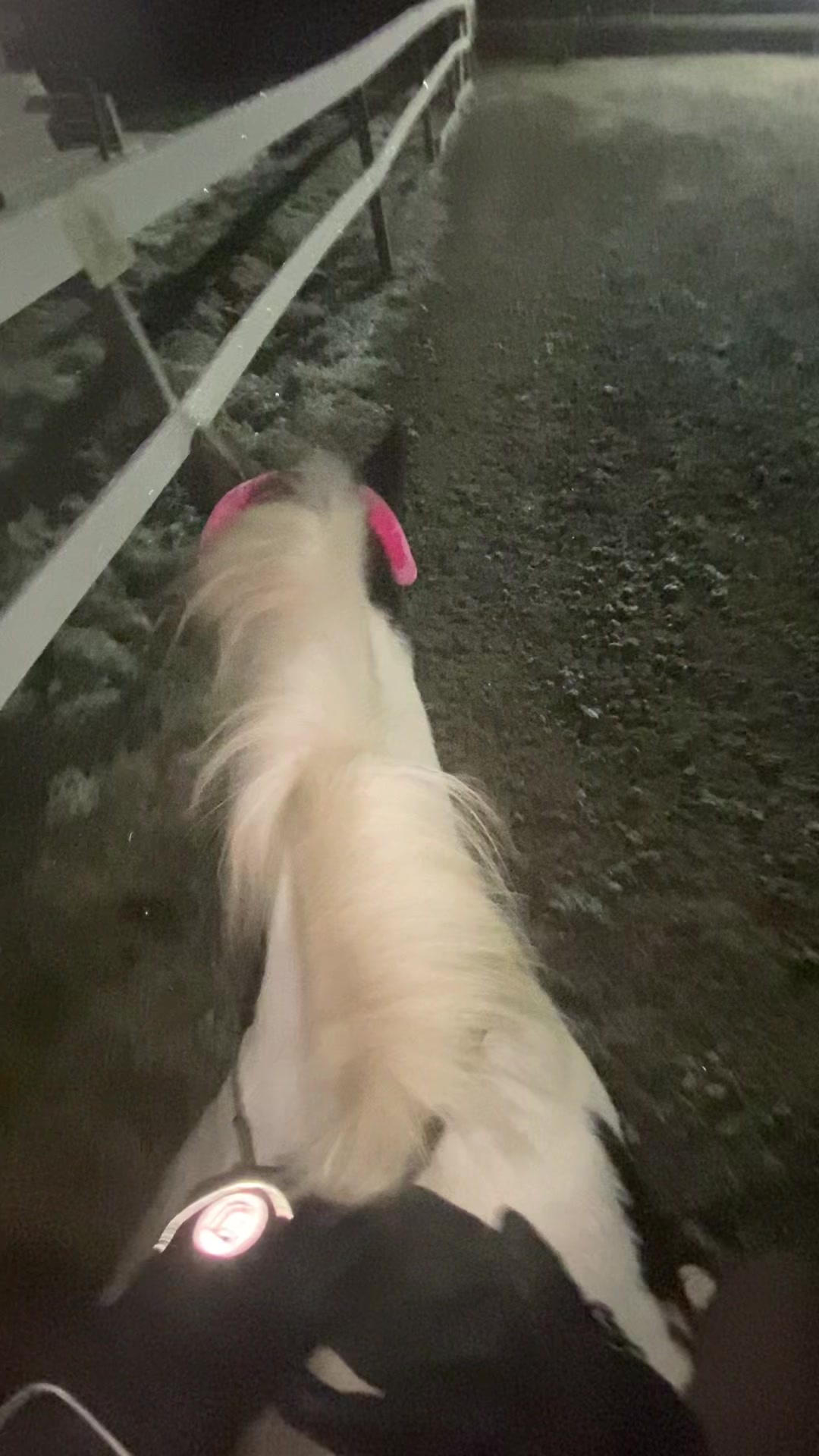 @kerstin🐴