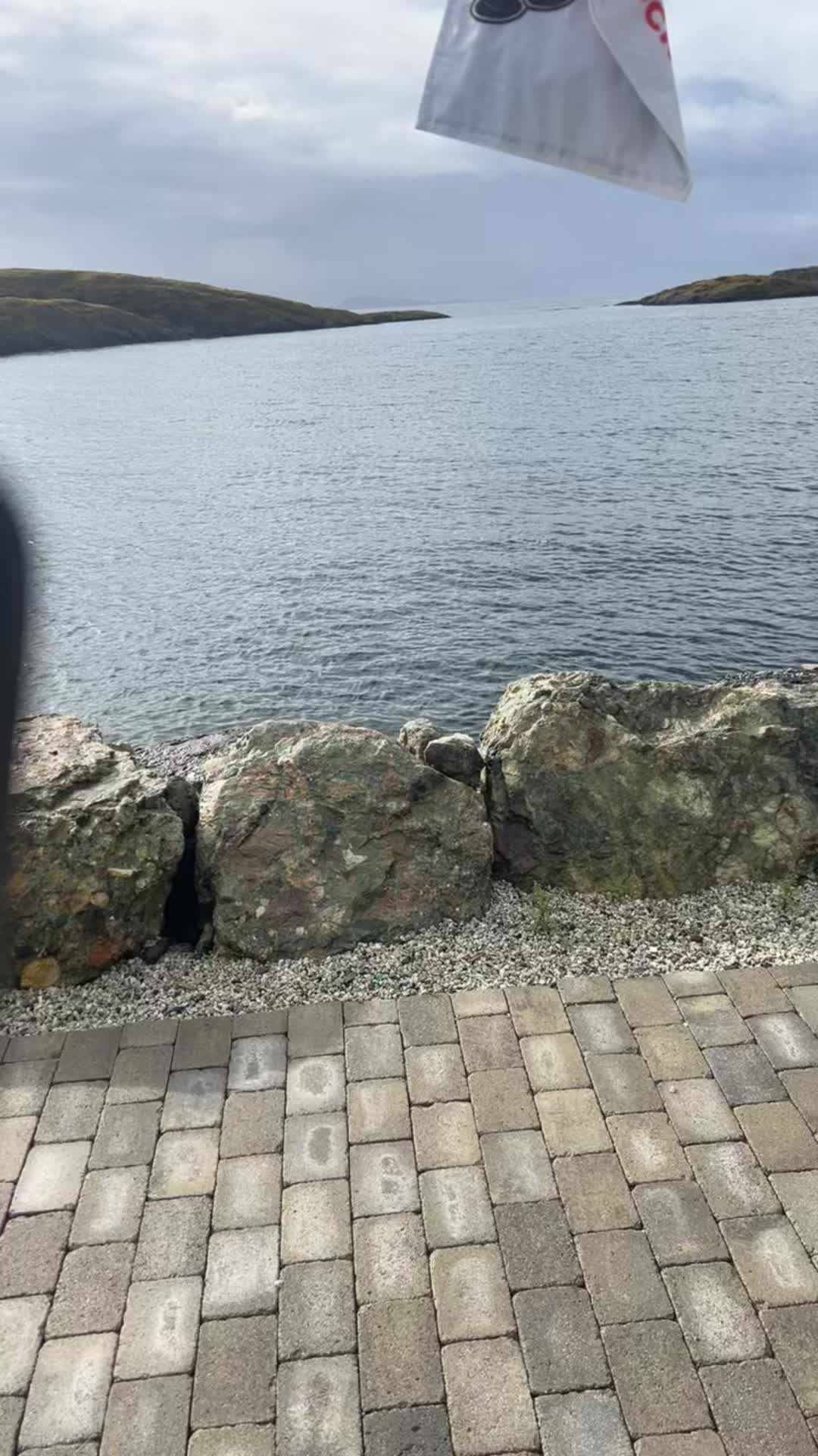 @Even 🇳🇴Svimevik🦋🍬