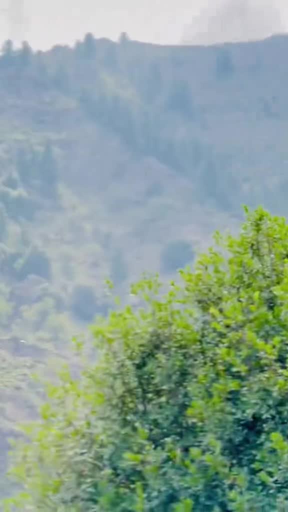 @Allamuldin khan 👑🤲🐅🔥