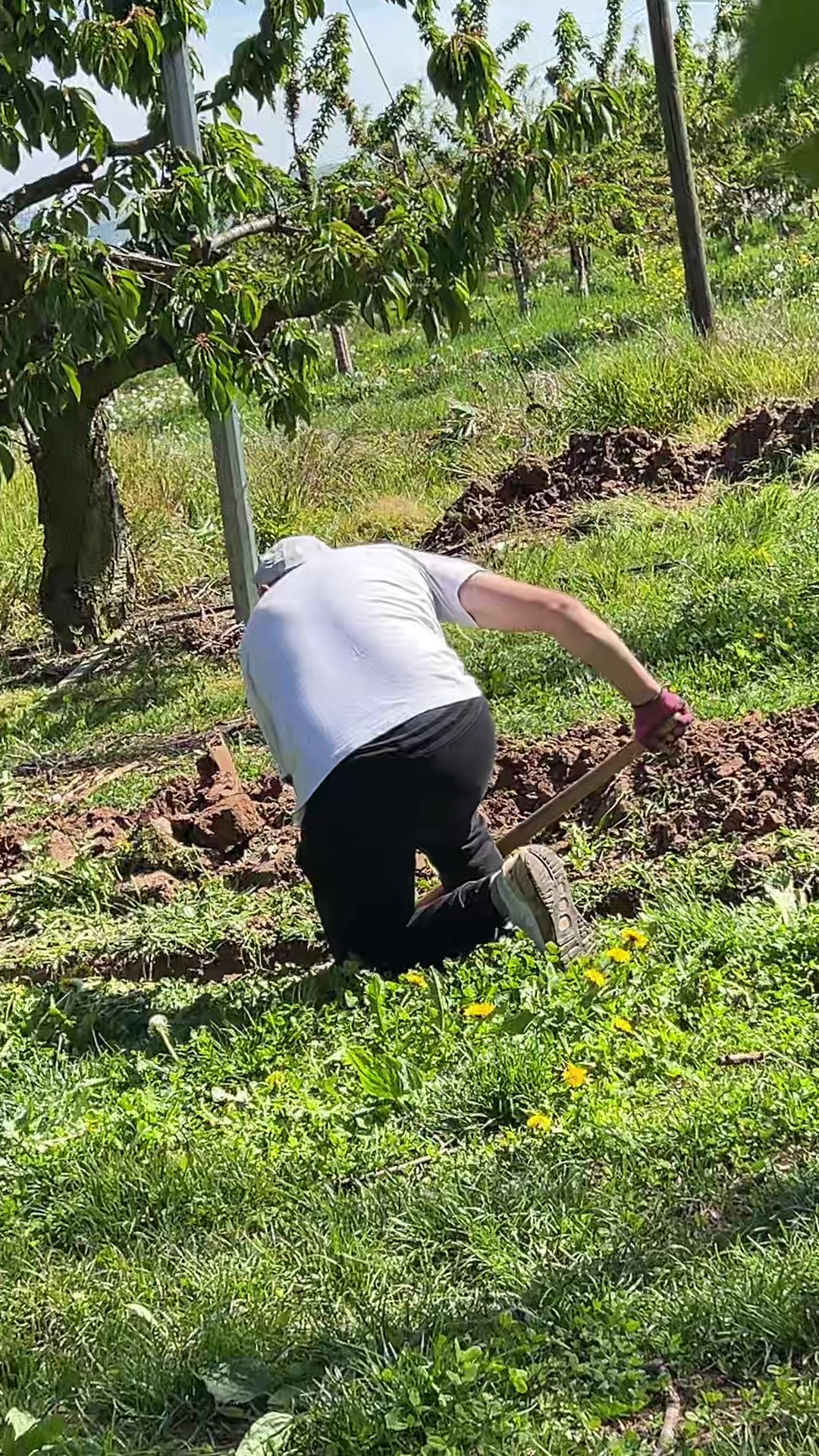 @PuȘcAș 💣💚
