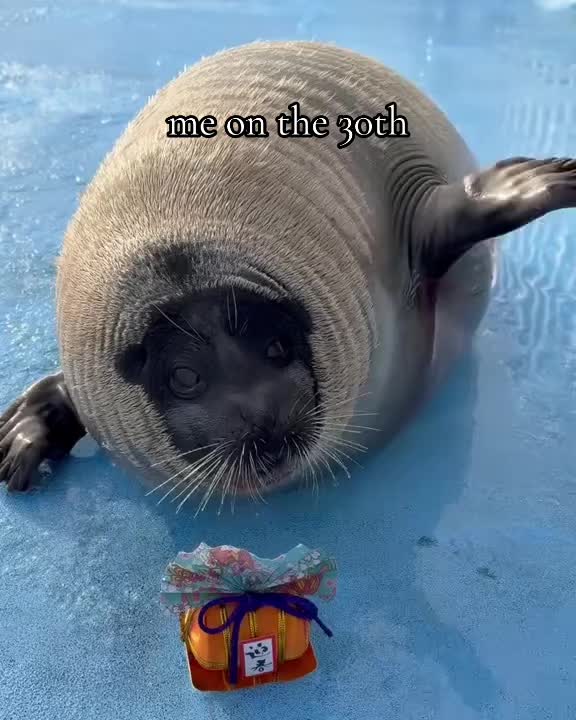 @Bob_bob