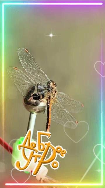 @🎀&hearts;ЧуДо_НаСтЯ&hearts;🎀