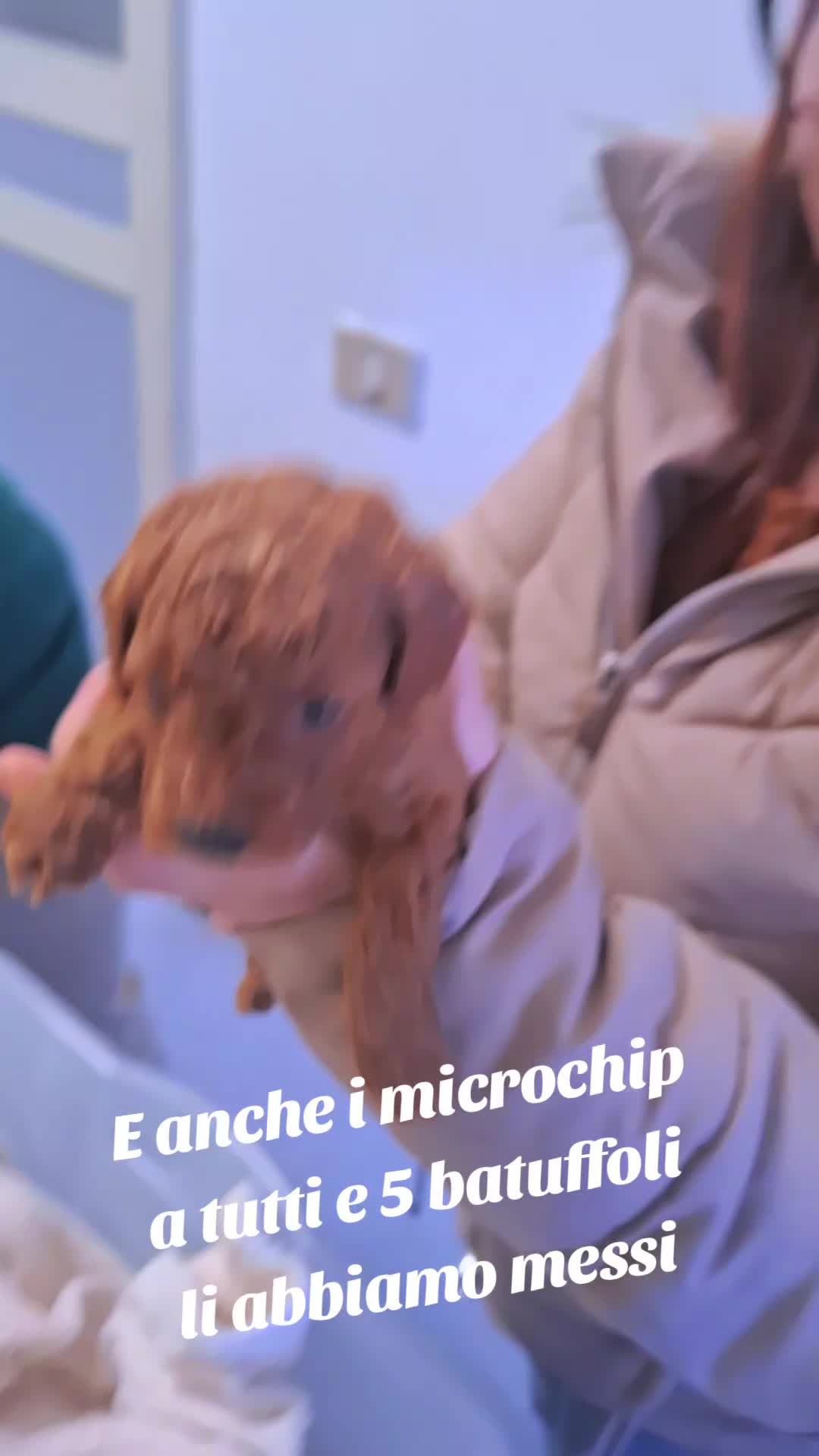 @MenaPalmieri