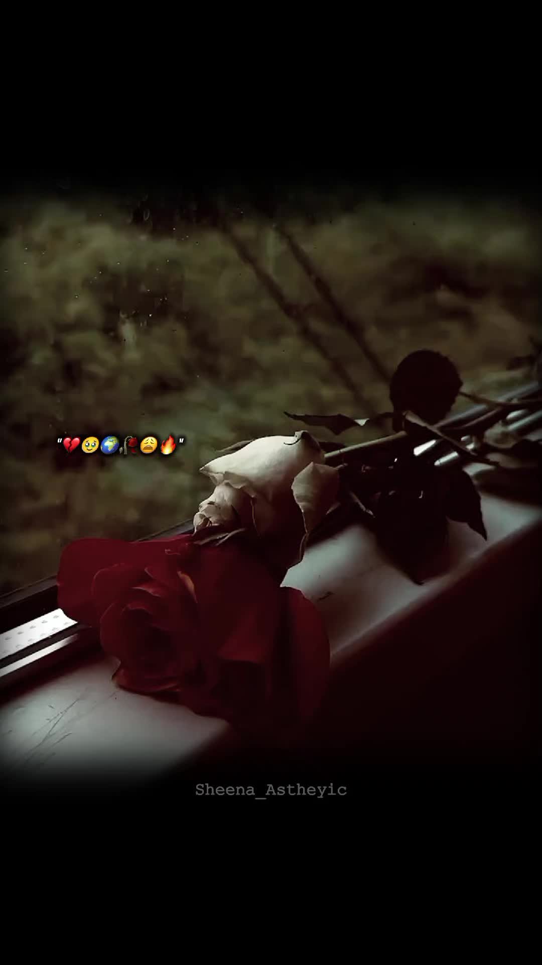 @💞𝓘𝓽𝔁.𝓒𝓪𝓽𝓸💞