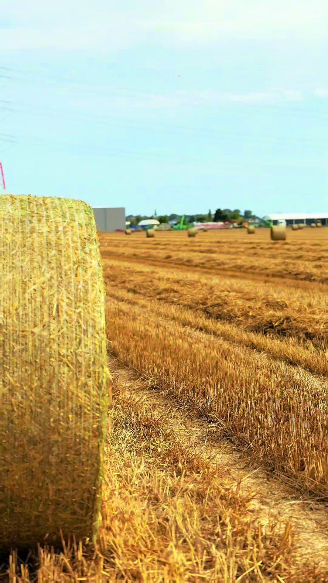 @AgroNaju