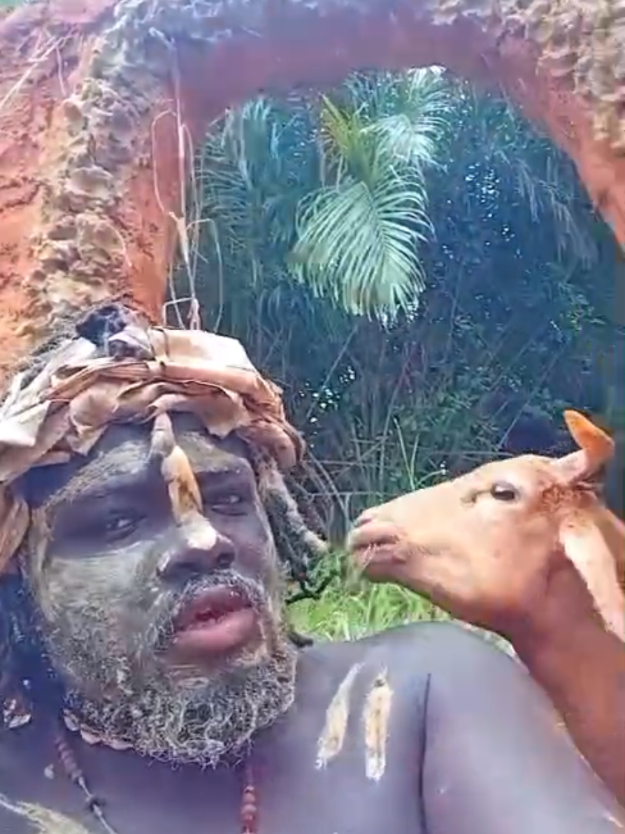 @MOORS NORTHERN TRIBE