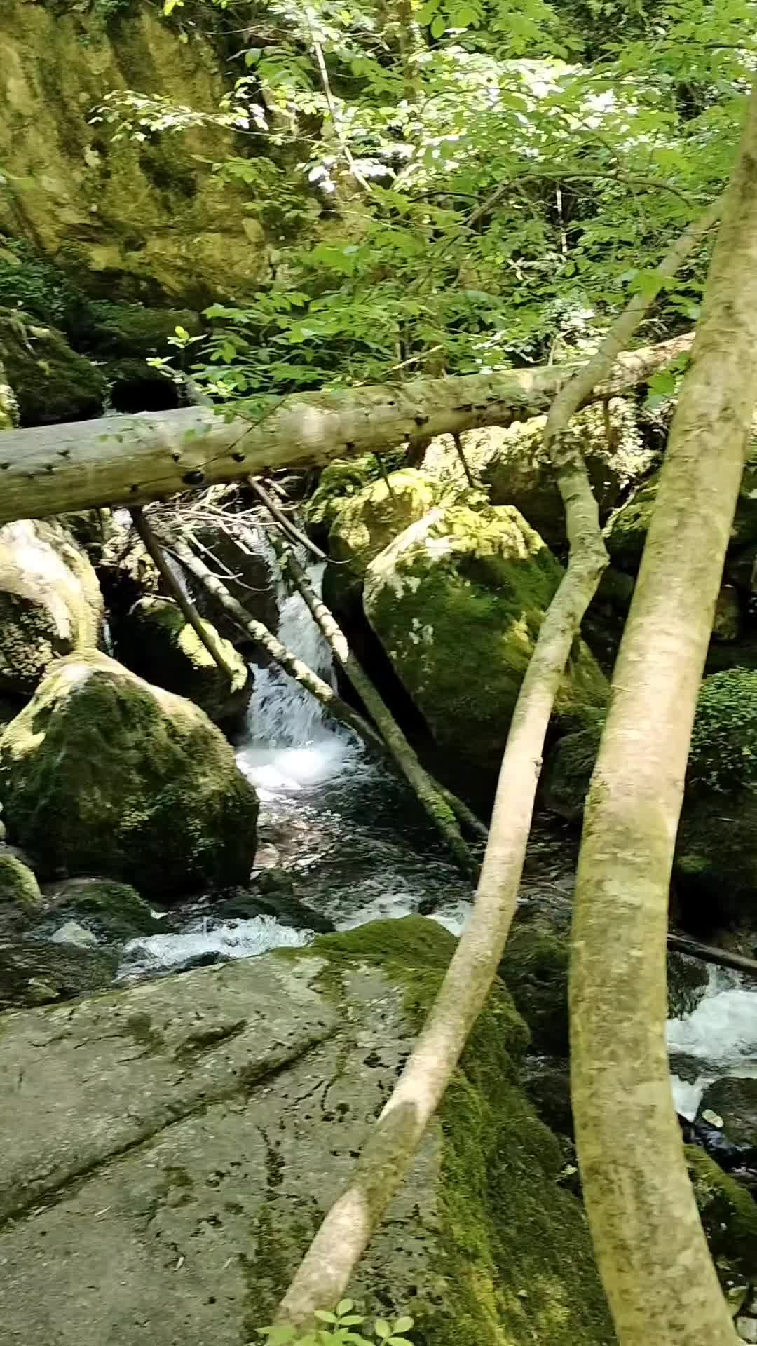@Ninfa⭐ Tokyo