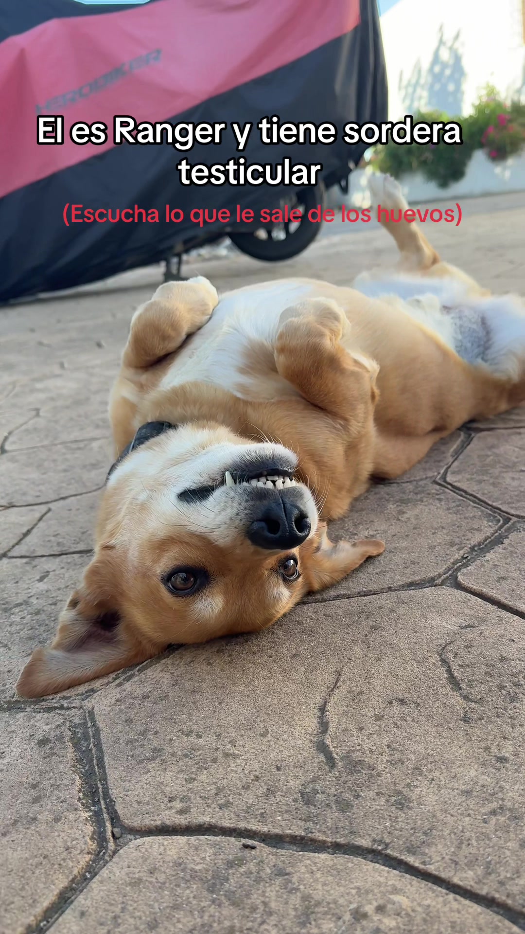 @𝑴𝑨𝑹𝑰𝑨