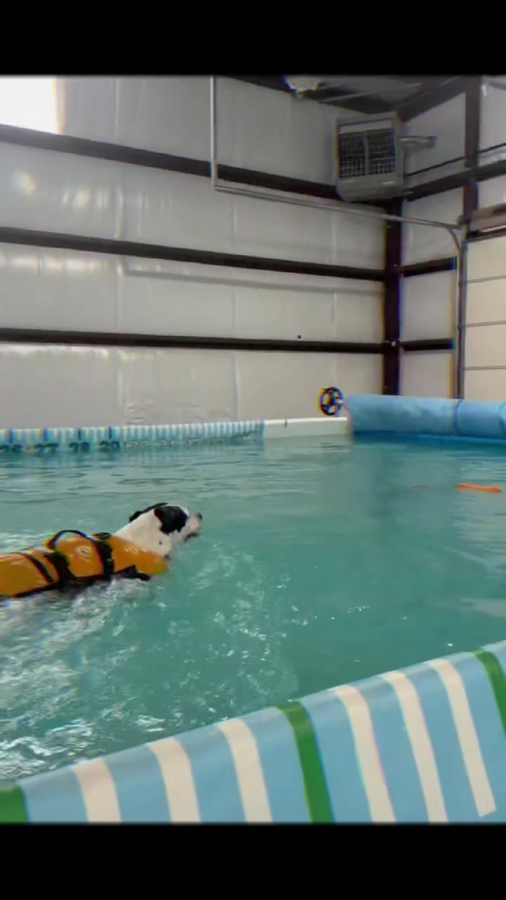 @Dukes K9 Dash n Splash