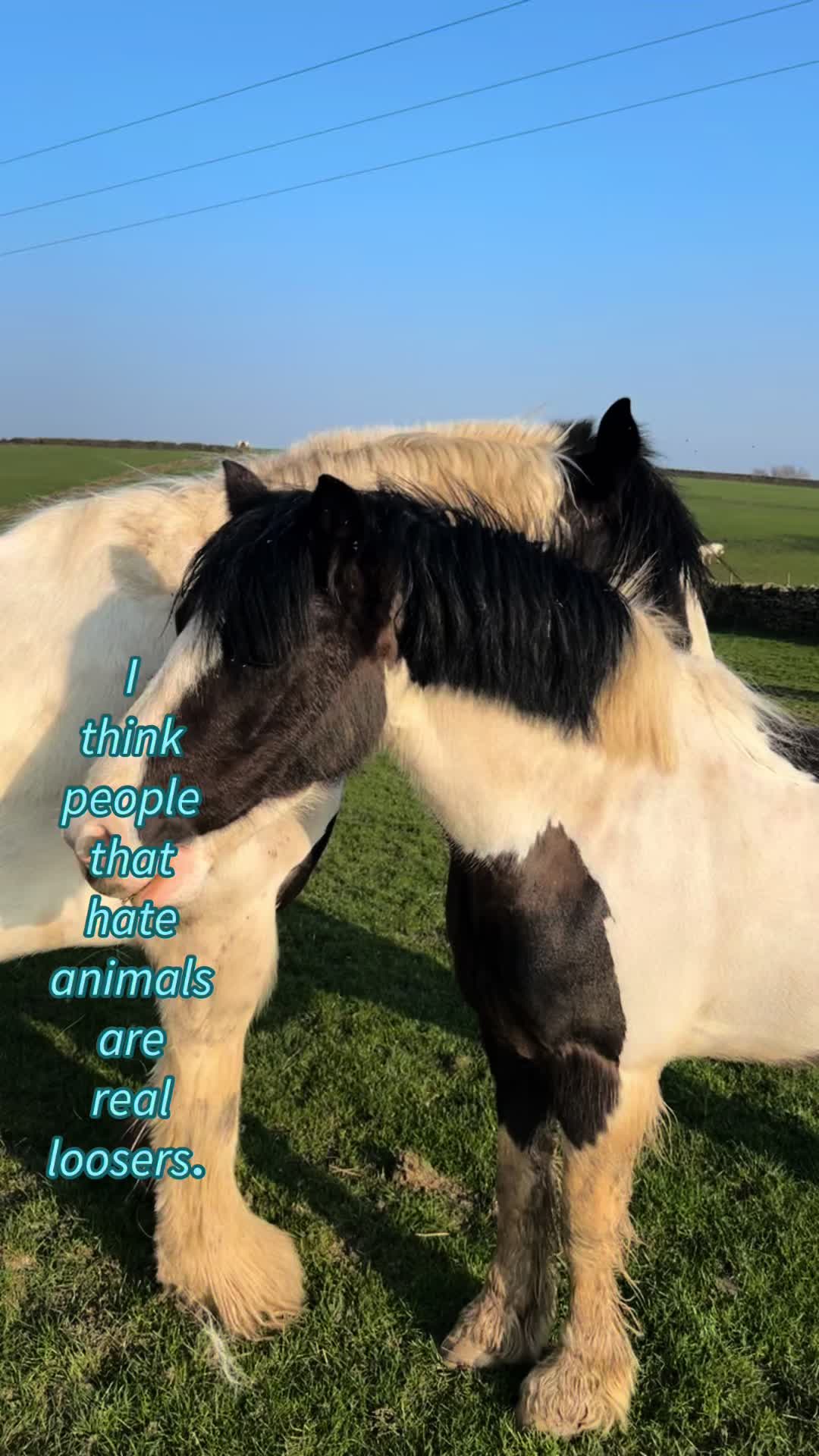 @🦢𝓒𝓱𝓵𝓸𝓮́🦢
