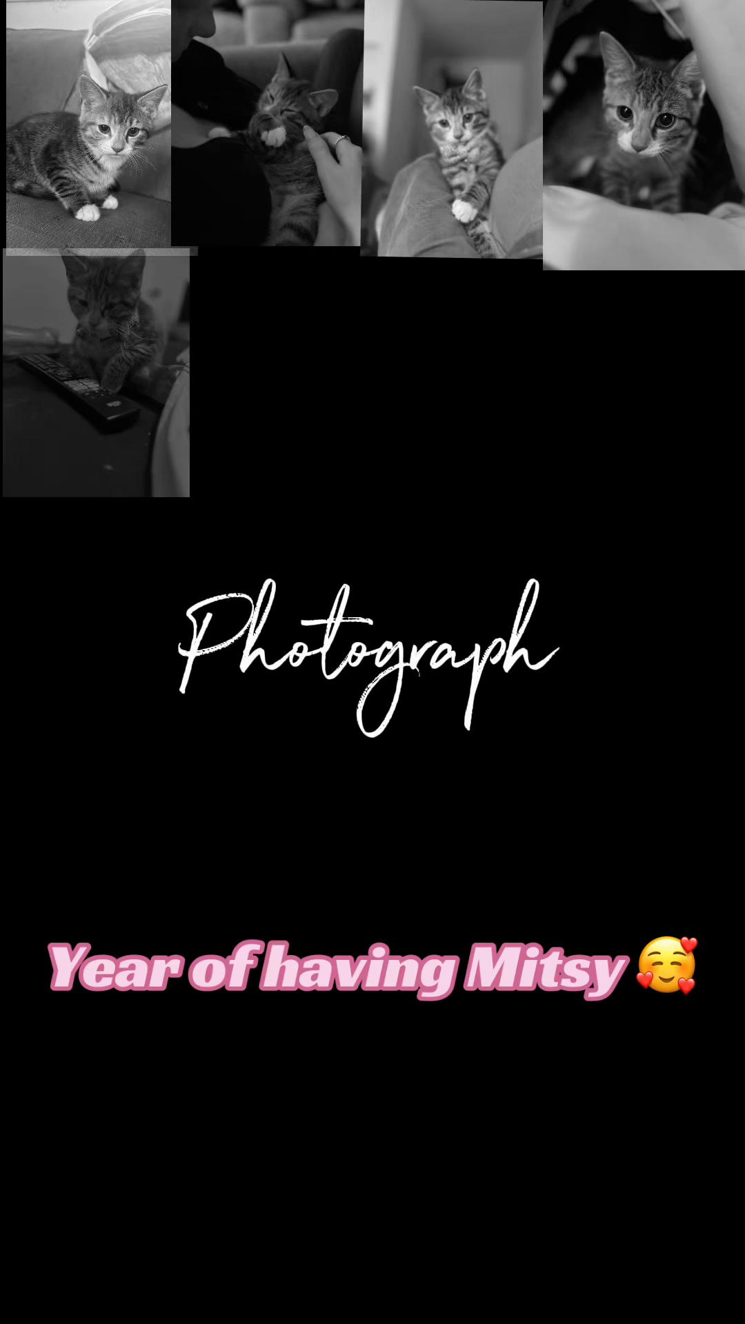 @mitsy.the.cat01