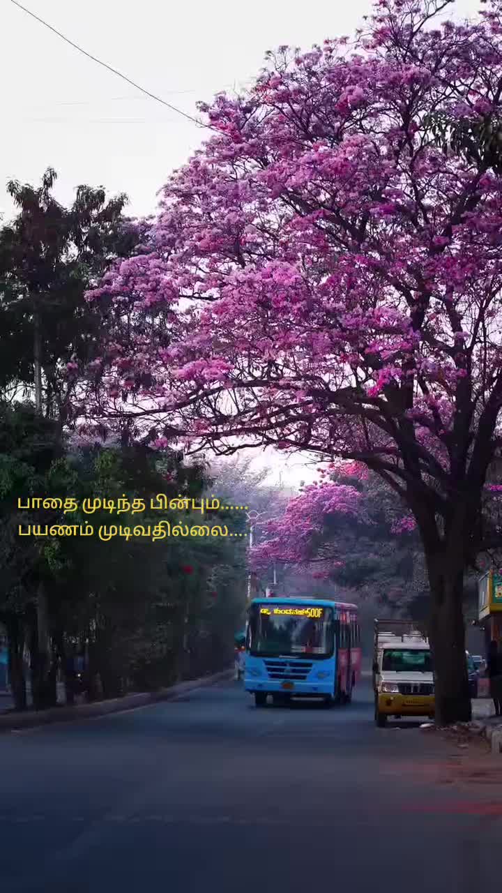 @Shanth_editz