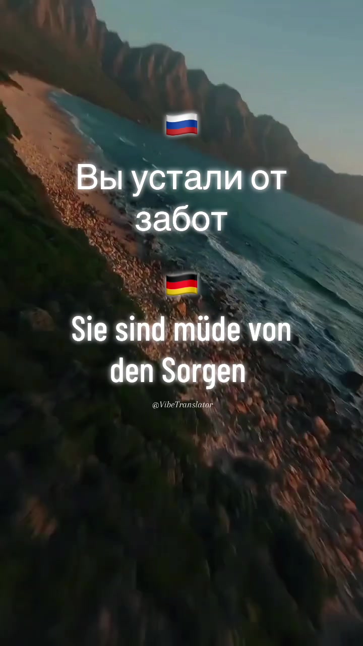 @VibeTranslator
