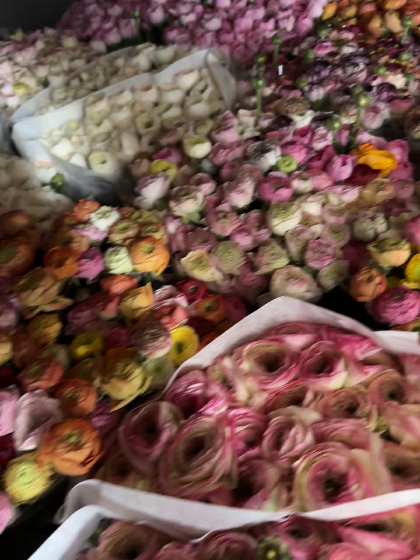@Casconefiori