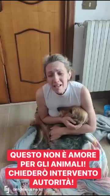 @NEFANDA