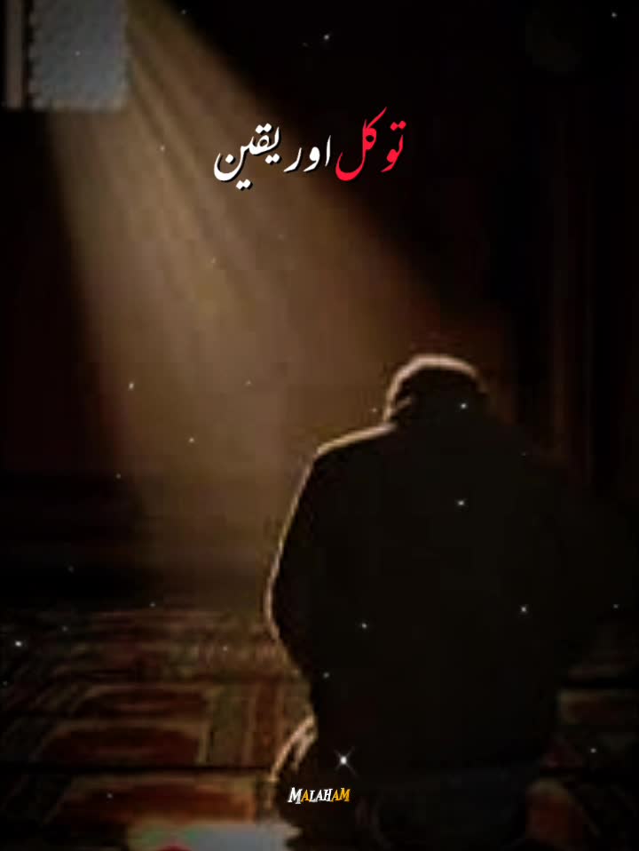 @Usama Nazir