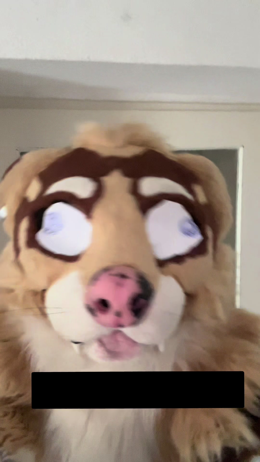 @untamed_mink_guy