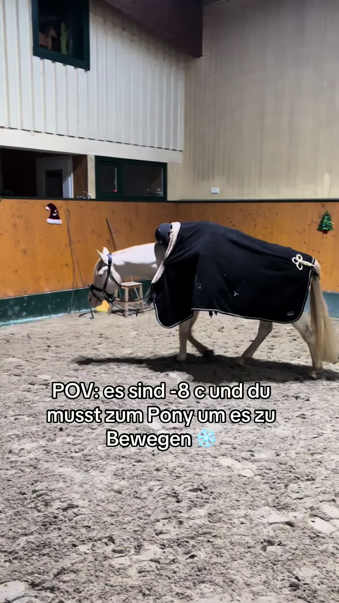 @Shanea & ihre Ponys ♥️🐴