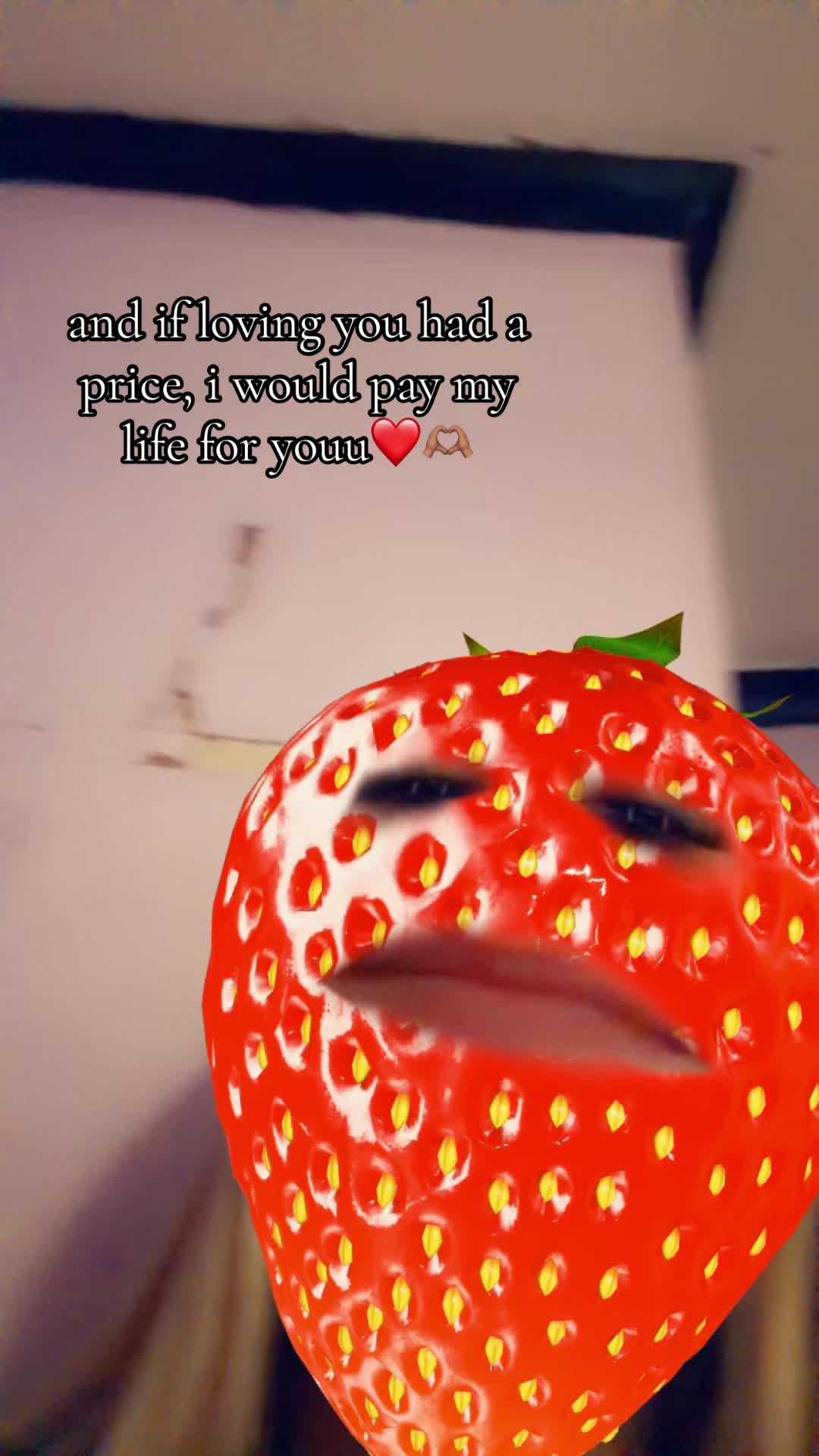 @๐ ๐ ๐ ๐ ๐ ๐ ๊จ๏ธ